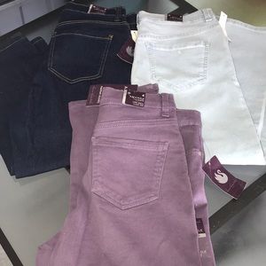 Brand new ladies Gloria Vanderbilt Capri bundle